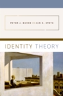 Identity Theory - eBook