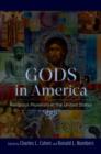 Gods in America : Religious Pluralism in the United States - Book