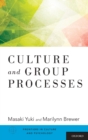 Culture and Group Processes - Book