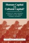 Human Capital or Cultural Capital? : Ethnicity and Poverty Groups in an Urban School District - Book