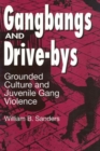 Gangbangs and Drive-Bys : Grounded Culture and Juvenile Gang Violence - Book