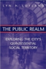 The Public Realm : Exploring the City's Quintessential Social Territory - Book
