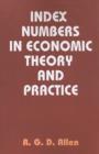 Index Numbers in Economic Theory and Practice - Book