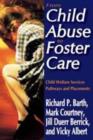 From Child Abuse to Foster Care : Child Welfare Services Pathways and Placements - Book