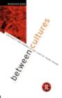 Between Cultures : Continuity and Change in the Lives of Young Asians - eBook