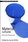 Material Cultures : Why Some Things Matter - eBook