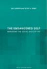 The Endangered Self : Identity and Social Risk - eBook