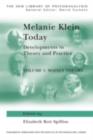 Melanie Klein Today, Volume 1: Mainly Theory : Developments in Theory and Practice - eBook