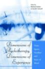 Dimensions of Psychotherapy, Dimensions of Experience : Time, Space, Number and State of Mind - eBook