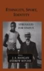 Ethnicity, Sport, Identity : Struggles for Status - eBook
