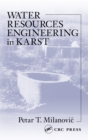 Water Resources Engineering in Karst - eBook
