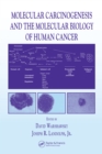 Molecular Carcinogenesis and the Molecular Biology of Human Cancer - eBook
