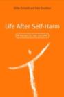 Life After Self-Harm : A Guide to the Future - eBook