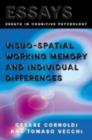 Visuo-spatial Working Memory and Individual Differences - eBook