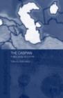 The Caspian : Politics, Energy and Security - eBook