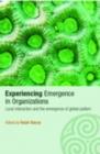 Experiencing Emergence in Organizations : Local Interaction and the Emergence of Global Patterns - eBook