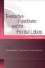 Executive Functions and the Frontal Lobes : A Lifespan Perspective - eBook