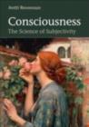 Consciousness : The Science of Subjectivity - eBook