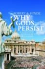 Why Gods Persist : A Scientific Approach to Religion - eBook