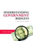 Understanding Government Budgets : A Practical Guide - eBook