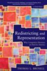 Redistricting and Representation : Why Competitive Elections Are Bad for America - eBook