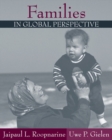 Families in Global Perspective - Book