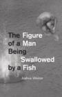 The Figure of a Man Being Swallowed by a Fish - eBook