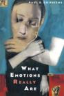 What Emotions Really Are : The Problem of Psychological Categories - eBook