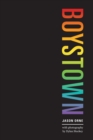Boystown : Sex and Community in Chicago - Book