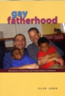 Gay Fatherhood : Narratives of Family and Citizenship in America - Book