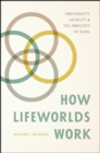 How Lifeworlds Work : Emotionality, Sociality, and the Ambiguity of Being - Book