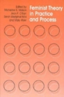 Feminist Theory in Practice and Process - Book
