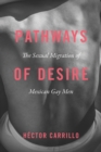 Pathways of Desire - The Sexual Migration of Mexican Gay Men - Book