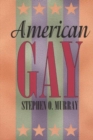 American Gay - Book