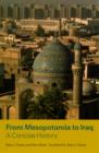 From Mesopotamia to Iraq : A Concise History - eBook