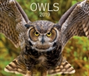 OWLS 2019 CALENDAR - Book
