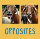 Opposites : English Edition - Book