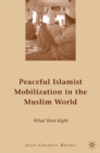Peaceful Islamist Mobilization in the Muslim World : What Went Right - eBook