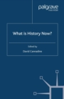 What is History Now? - eBook