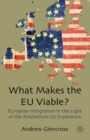 What Makes the EU Viable? : European Integration in the Light of the Antebellum US Experience - eBook