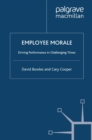 Employee Morale : Driving Performance in Challenging Times - eBook