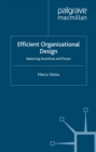 Efficient Organizational Design : Balancing Incentives and Power - eBook