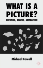 What is a Picture? : Depiction, Realism, Abstraction - eBook