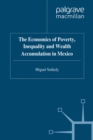 The Economics of Poverty, Inequality and Wealth Accumulation in Mexico - eBook