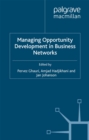 Managing Opportunity Development in Business Networks - eBook