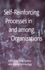 Self-Reinforcing Processes in and among Organizations - eBook