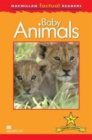 Macmillan Factual Readers Level 1+: Baby Animals - Book