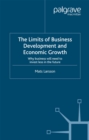 The Limits of Business Development and Economic Growth : Why Business Will Need to Invest Less in the Future - eBook