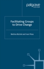 Facilitating Groups to Drive Change - eBook