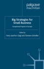 Big Strategies for Small Business : Exceptional Projects in Europe - eBook